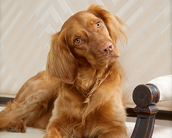 Speziell für Vermieter